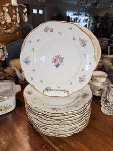 11 Hutschenreuther Selb Pasco MayFair 7619 Bavaria 10" Dinner Plate - Picture 1 of 5