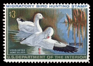 RW37 – 1970 Ross' geese variety - Picture 1 of 4