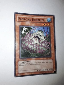 Carte yu-gi-oh - Fantôme Herbeux SOI-FR031 - Picture 1 of 2