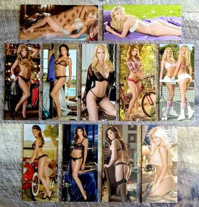 SET (12) 2009 Playboy Playmate Centerfolds Mini REFRIGERATOR MAGNETS (JAN-DEC) - Picture 1 of 1