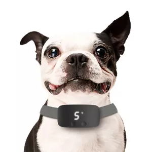 Touch DOG Bark Training Collar Anti-barking Pet Products - Picture 1 of 7