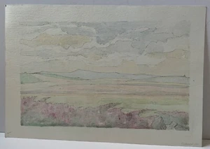 VINTAGE LARGE WATERCOLOUR PAINTING FIELDS & TREES SKY COUNTRYSIDE ERIC VERNON - Picture 1 of 10