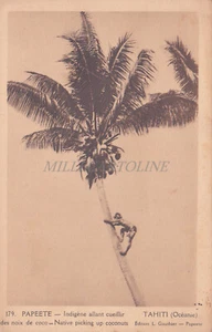 FRENCH POLYNESIA - Papeete, Native picking up Coconuts, Tahiti - Picture 1 of 2