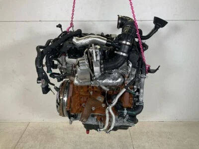 BLFB Moteur Moteur Moteur Complet FORD Transit V363 NEU 2.0 TDCi - Image 1 of 4