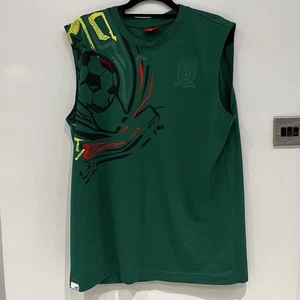 Maillot Cameroun Puma vintage Football Shirt jersey Oldschool Y2K - XL Men’s - Picture 1 of 7