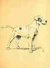 A4 Photo Aldin Cecil Dog Day 1902 Eager Print Poster