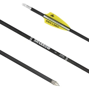 31" Pure Carbon Arrows SP400-1200 Vanes Compoundbow Recurve Bow Target Hunting - Picture 1 of 23