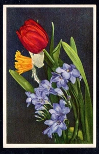 Cartolina  Fiori (AA213) - Picture 1 of 2