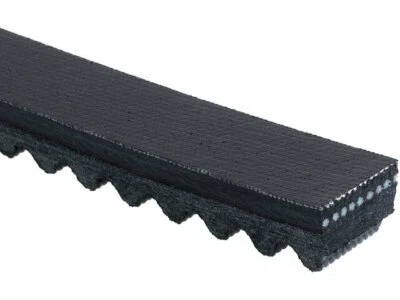 Accesorio correa de transmisión para Chevrolet T7500 1999-2002 AC Delco 23979WV Foto 1 de 2