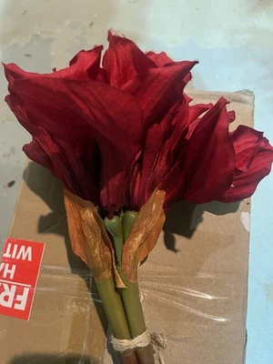 Pottery Barn Imitación Amaryllis Paquete Navidad 12" H Rojo Nuevo Foto 1 de 2