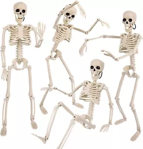 4PCS Halloween Skeleton Decorations, 16" Halloween Full Body Mini Skeleton with - Picture 1 of 6
