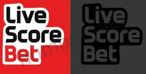 Sunderland LiveScoreBet shirt 2025-26 Arm Sleeve Sponsor Football Soccer Jersey - Picture 1 of 2