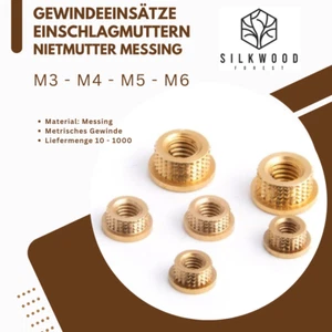 Gewindeeinsatz Einschlagmuttern Nietmutter Messing M3/M4/M5/M6 Modelbau - Bild 1 von 5