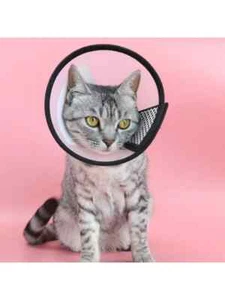 Pet Dog Cat Anti-lick Elizabethan Protective Collar Cone Wound Healing Recovery. - Picture 1 of 8