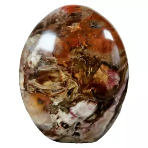Precioso espécimen independiente pulido fósil de madera petrificada de Madagascar (160) - Imagen 1 de 7
