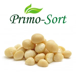 NATÜRLICHE MACADAMIANÜSSE PREMIUM QUALITÄT 95 % GANZE NÜSSE NIEDRIGER PREIS 100G-450G - Bild 1 von 3