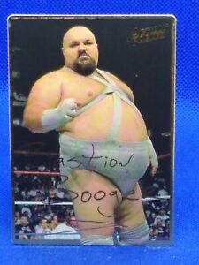 1994 Action Packed WWF Bastion Booger #20