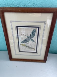 Vintage W. H LIZARS Edinburgh OLEANDER HAWK And CATERPILLAR Print W/ Certificate - Picture 1 of 11