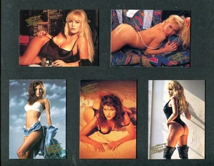 (5) 1992 Video Vixens Adult Film Stars Collectible Trading Cards WOW!!!~HOTTIES - Picture 1 of 2