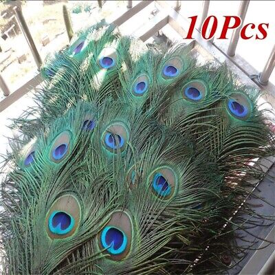 10Pcs Natural Peacock Tail Eyes Feathers Wedding Festival Party Decor Stage Tool • 4.46€