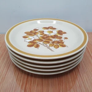 Vintage Ekco Eternia 6" Brot Dessert Teller "Herbstwiese" 5er Set EUC - Bild 1 von 13