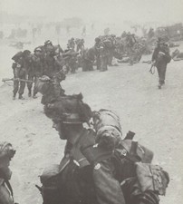 British troops D-Day Normandy Gold Beach  #101 WW2 WWII Re-Print 5 x 7