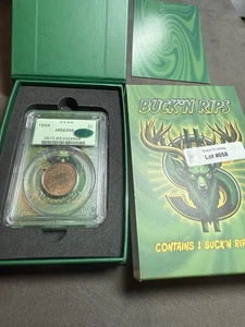 1864 Two Cent Piece 2C PCGS MS63 RB OGH Rattler Holder Cac Vaultbox Vault Box - Picture 1 of 7