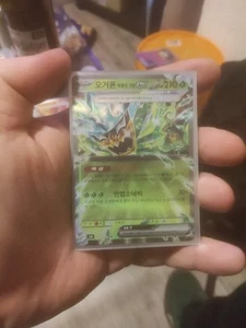 Teal Mask Ogerpon ex 016/101 Sv6: Transformation Mask Holo (Japanisch) - Bild 1 von 1