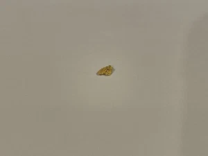 Australian Natural Gold Nugget 0.271g - Bild 1 von 1