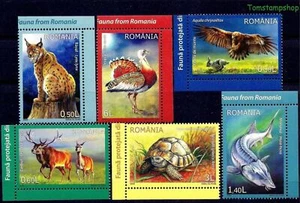 Romania 2009 Lince Cervi Tartaruga Pesci Animali Otarda Aquila Rapaci Uccelli - Foto 1 di 1