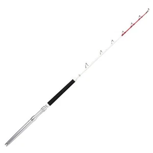 Rapala Magnum Rh 5'8 2P 173cm 20-30lbs - Bootsrute, Angelrute, Trollingrute Rute - Bild 1 von 1