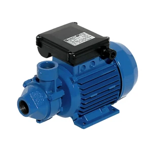 ELETTROPOMPA PERIFERICA EBARA PRA 0,5 HP V220 GIRANTE OTTONE PRN 0,5 - Foto 1 di 4