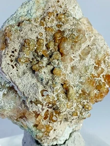 181g Hessonit Granat Cluster auf Matrix - Bild 1 von 8