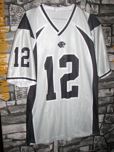 Vintage NFL Artisan Panthers Parma # 12 american football jersey shirt '80 - Picture 1 of 2