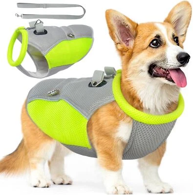 3 layer  Dog Cooling Vest Breathable Mesh Jacket Cool Coat Harness Reflective M - Image 1 of 4