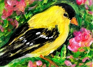 ORIGINAL ACEO GEMÄLDE amerikanischer GOLDFINK gelber VOGEL Frühling Blume Natur KUNST - Bild 1 von 1