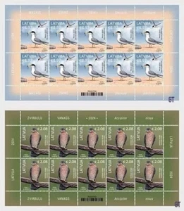 Latvia 2024 - Birds of Latvian - Little Tern - Sparrowhawk - a hawk mini sheet - Picture 1 of 1