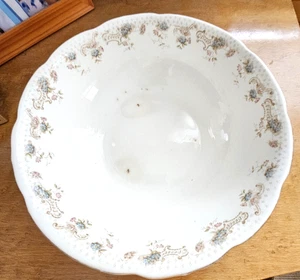 Antiguo cuenco John Maddock & Sons Royal Vitreous Empress 8,75" años 1890 - Imagen 1 de 15