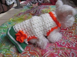 Dog Apparel WHITE AND BRIGHT ORANGE Dress w/GREEN STRIPE Skirt SMALL - Picture 1 of 1
