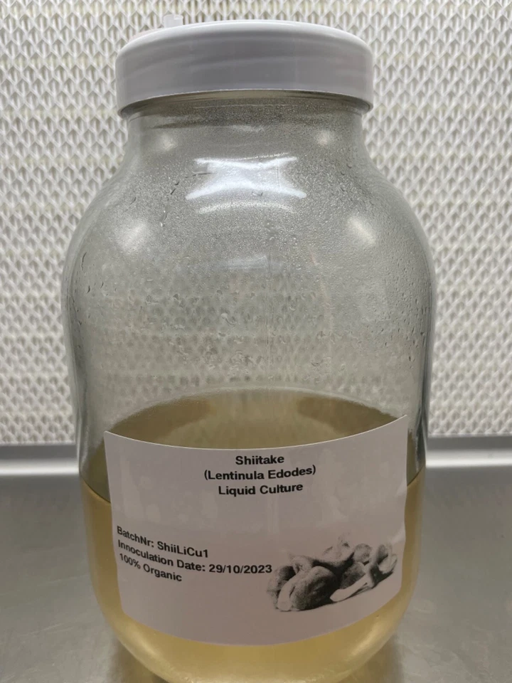 Shiitake (Lentinula Edodes) coltura liquida 10 ml (100% biologico) - Immagine 1 di 1