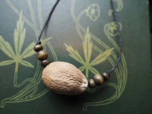Unusual Nutmeg pendant - Charm Against Backache - Pagan, Wicca, Magic, Healing - Picture 1 of 5
