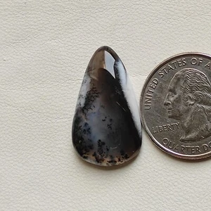 Diseñador dendrita ópalo cabujón ágata dendrítica pulido a mano piedra preciosa C6764 AU - Imagen 1 de 5