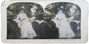Scheda video stereo antica tinta a mano "I Just Knew It Would Be a Boy" #25 - Foto 1 di 2