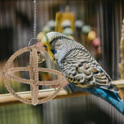  Jouet balançoire d'oiseau jouets poussin escalade pour perruche cage à oiseaux perchoir