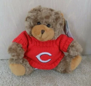 Oso de peluche UC Bearcats con licencia oficial - Imagen 1 de 3