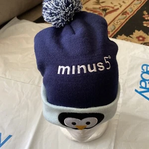 Bird  Minus 5 Merino Rare Cool Beanie - Picture 1 of 4