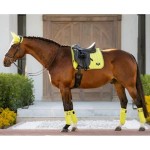 IT02704 LeMieux Loire Polo bende avvolgenti - Kiwi NUOVO - Foto 1 di 2