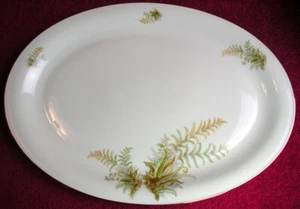PT Tirschenreuth (Trianon #2375) 15 3/4" OVAL PLATTER Exc - Picture 1 of 3
