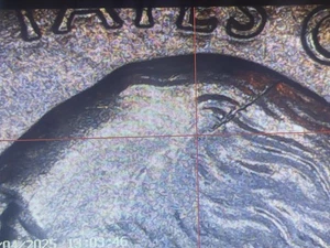 2020 P Land Stewardship Quarter Obverse and Reverse Die Crack errors - Picture 1 of 7