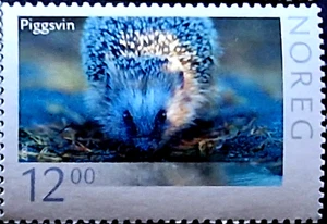 Norway Wild Animals - Hedgehog - MNH Stamp - Picture 1 of 1